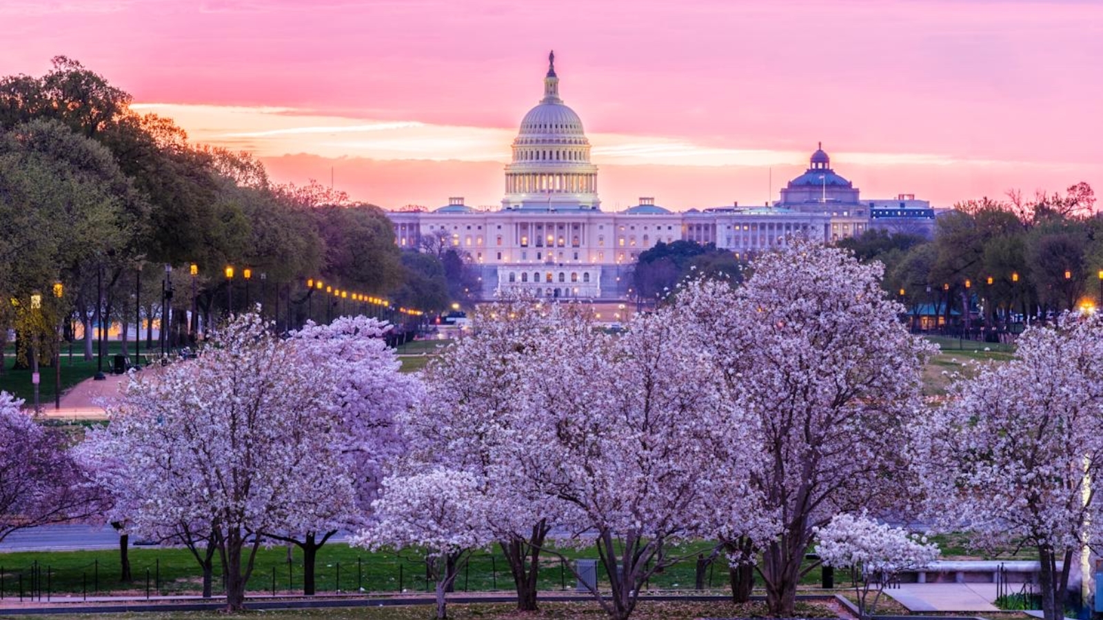 Washington, DC