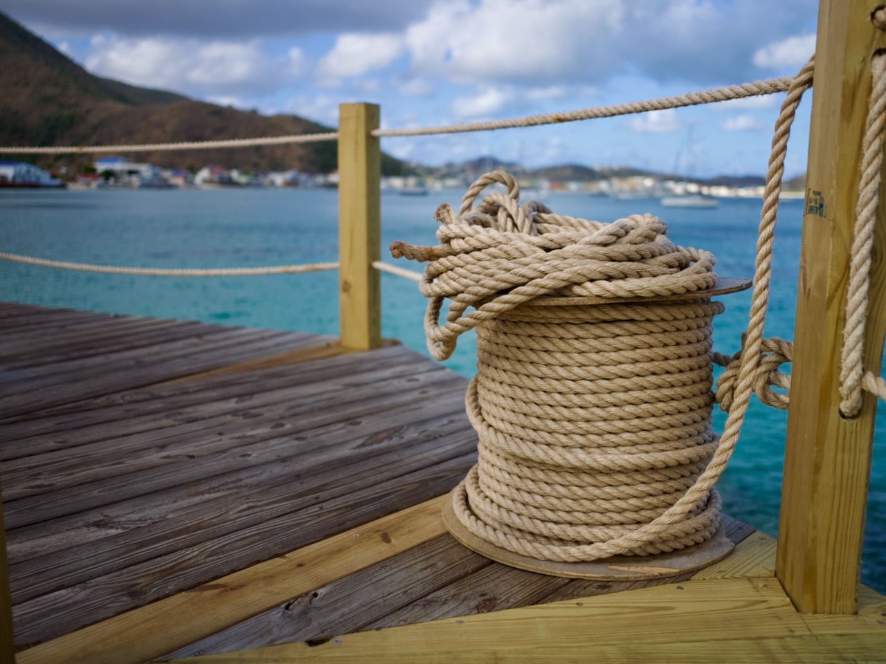 dock day — image 1 of 5