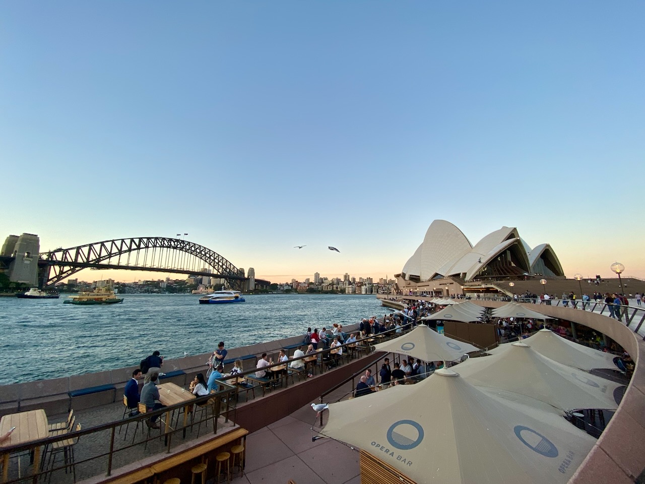 sydney, softly — image 4 of 12