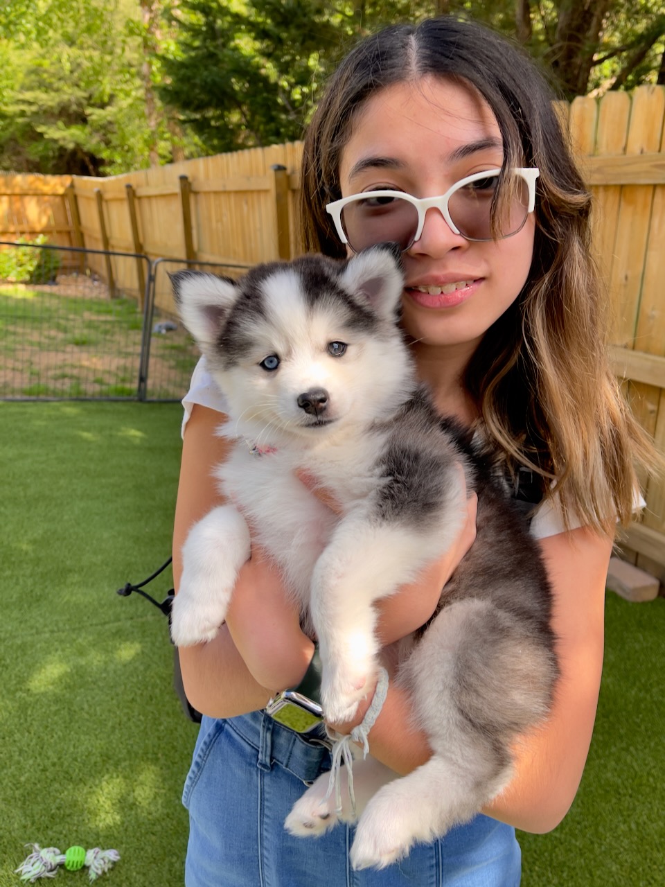 gotcha day