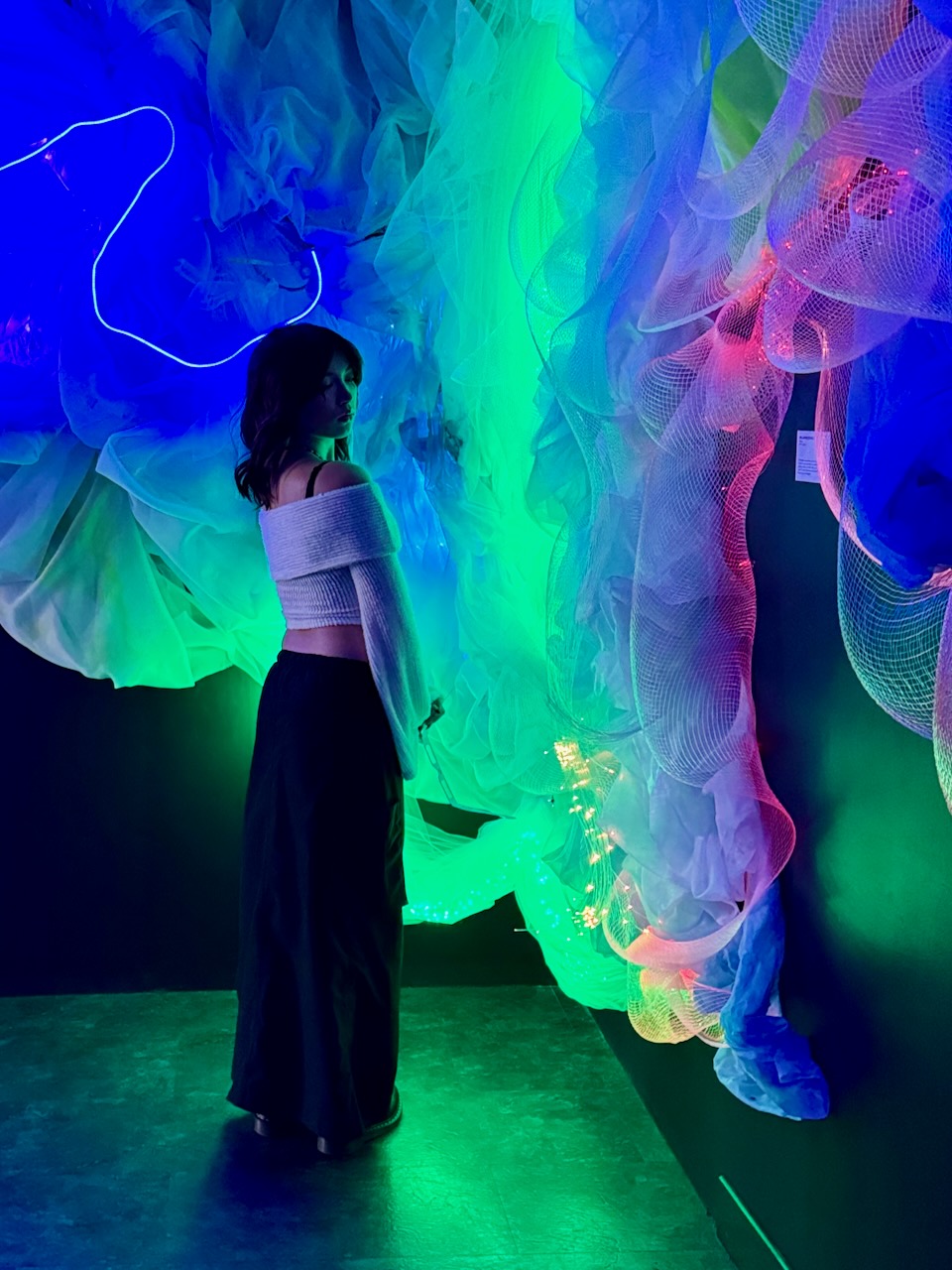 inside the spectrum — image 3 of 4