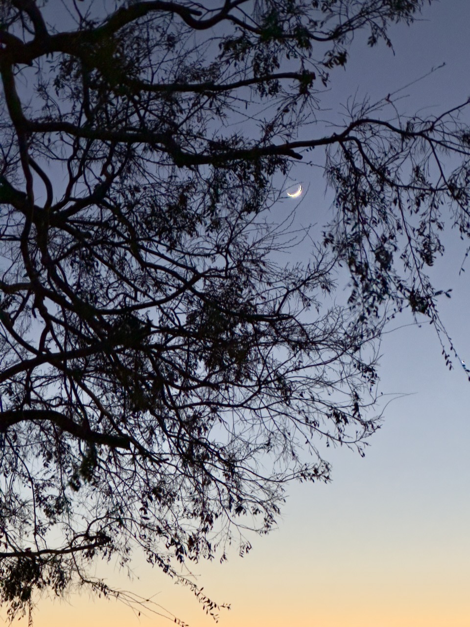 bare hour — image 1 of 2