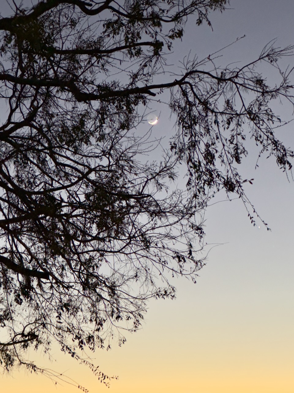 bare hour — image 2 of 2