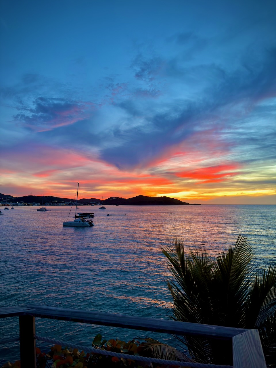sunset protocol — image 8 of 8
