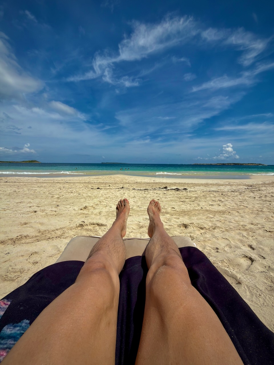 coconut index — image 1 of 15