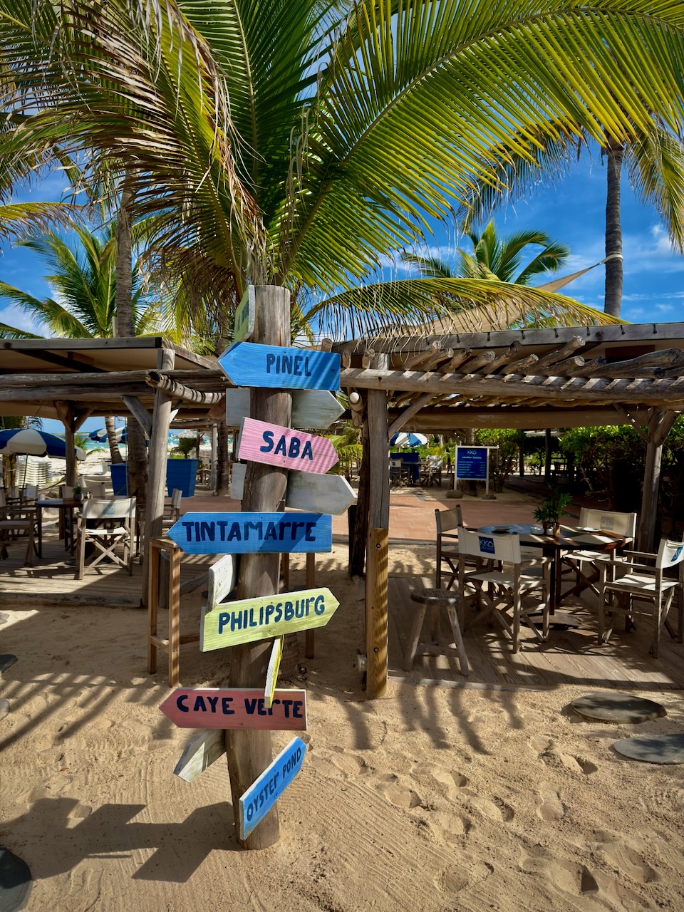 coconut index — image 5 of 15
