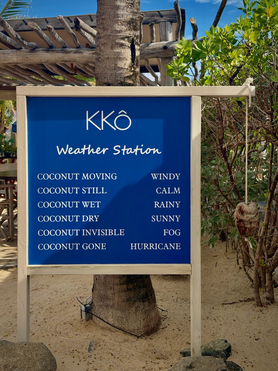 coconut index — image 6 of 15