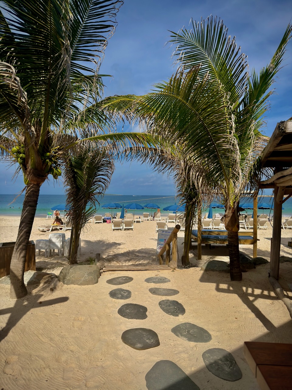 coconut index — image 8 of 15