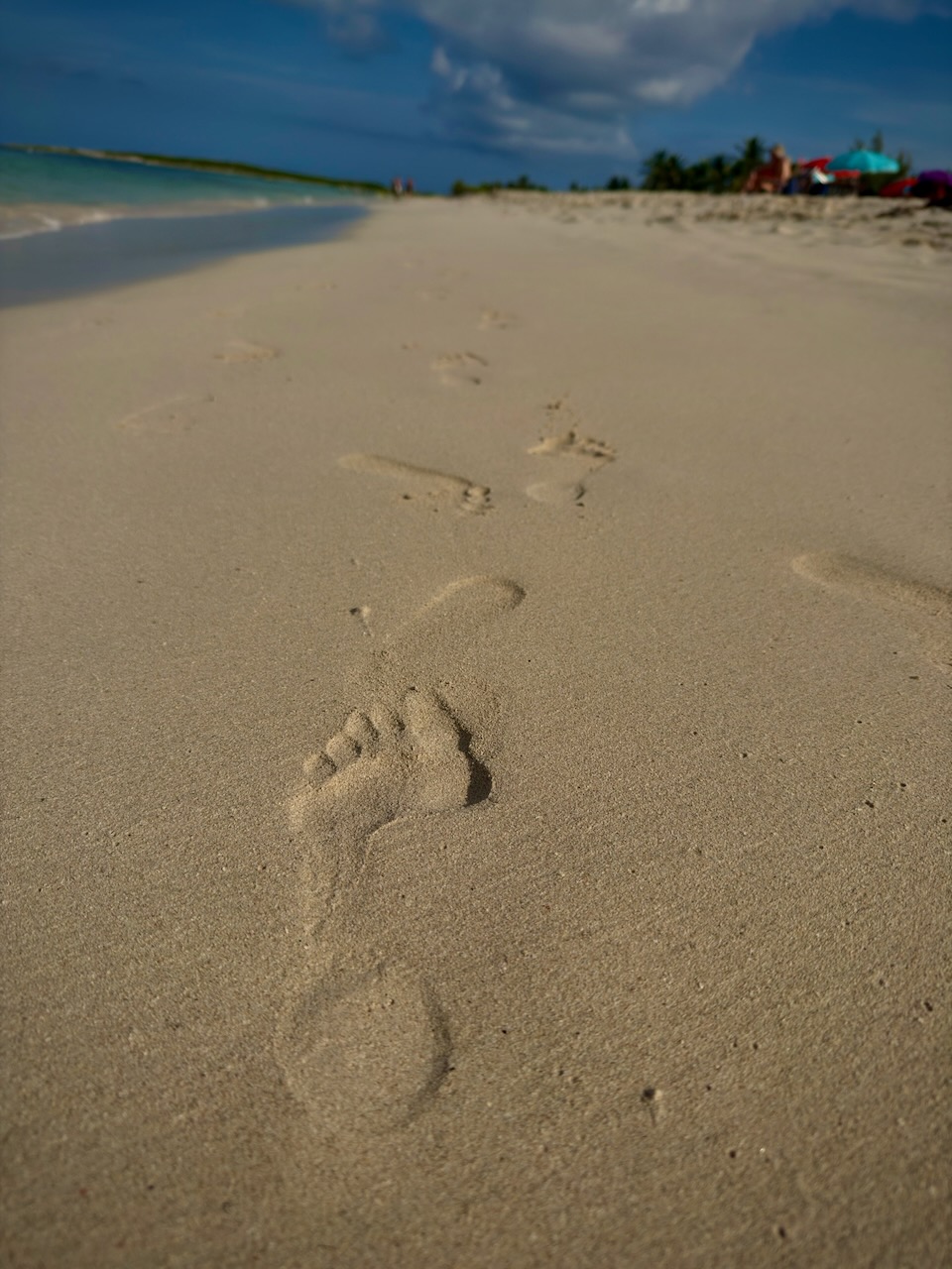 coconut index — image 9 of 15