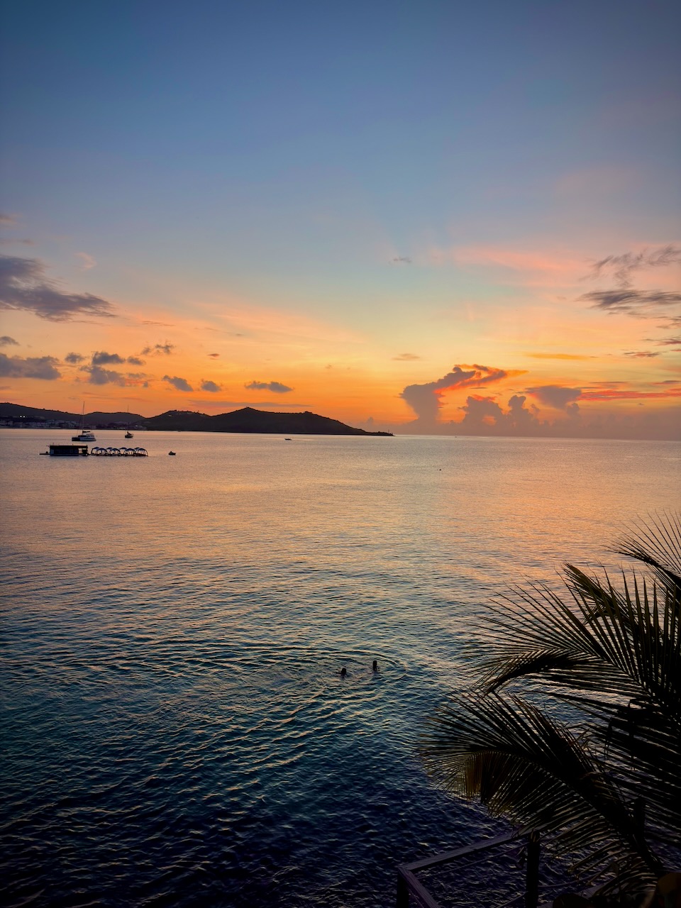 coconut index — image 14 of 15