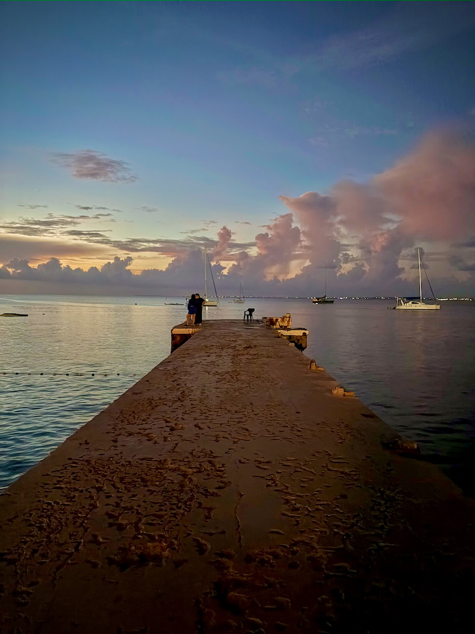coconut index — image 15 of 15