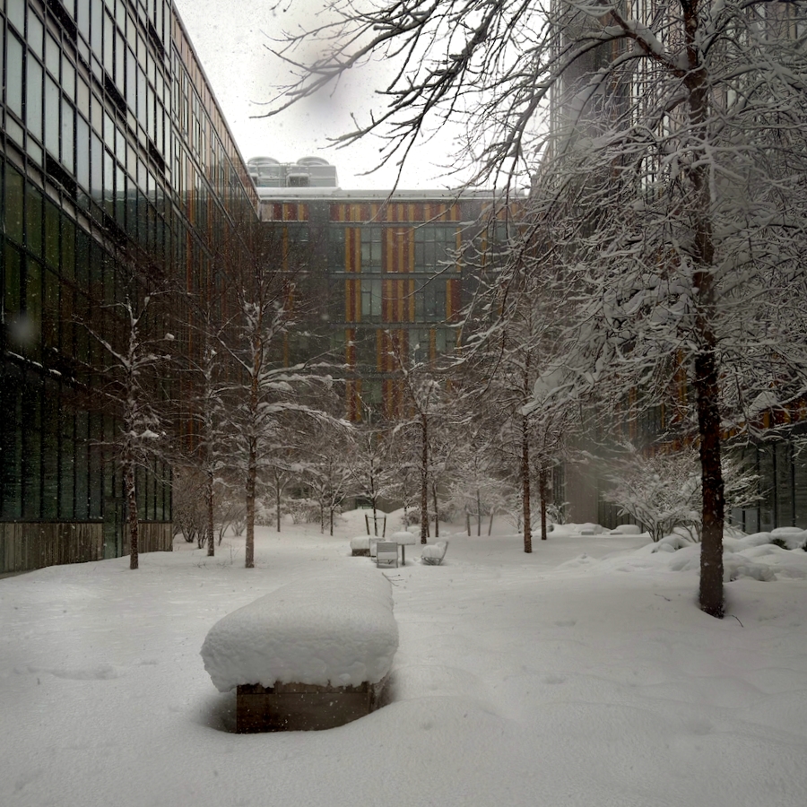 whiteout clause — image 1 of 2