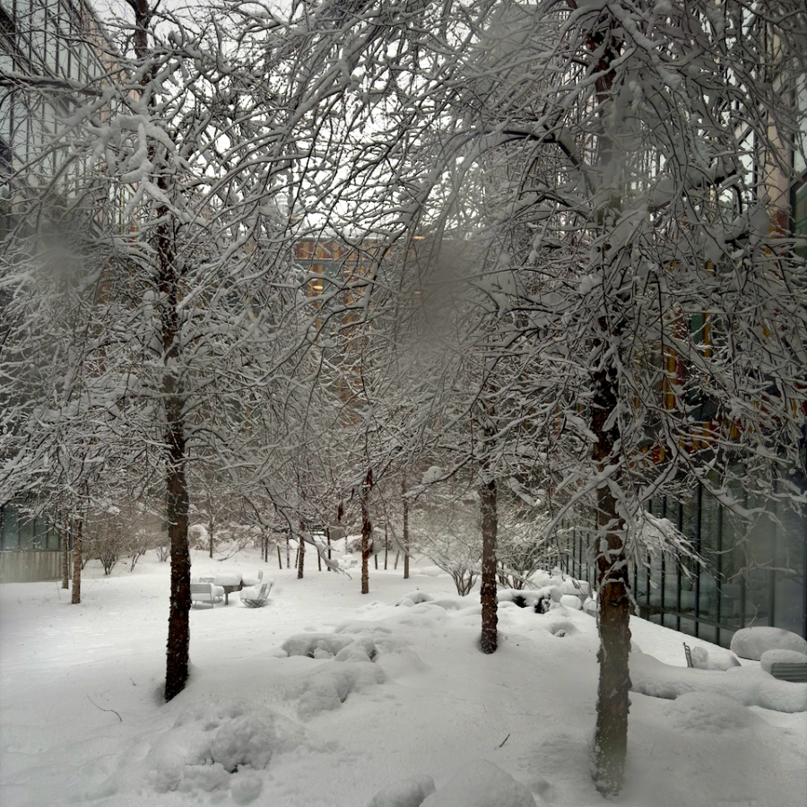 whiteout clause — image 2 of 2
