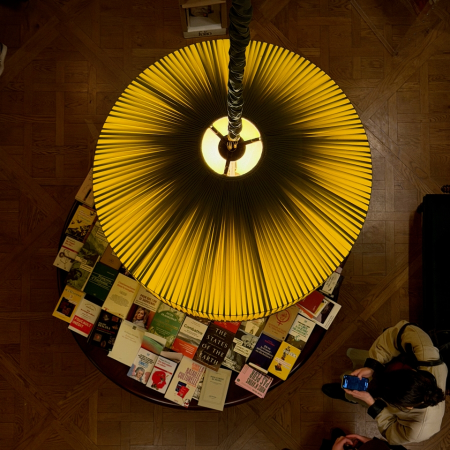 where wonder is curated — image 4 of 4